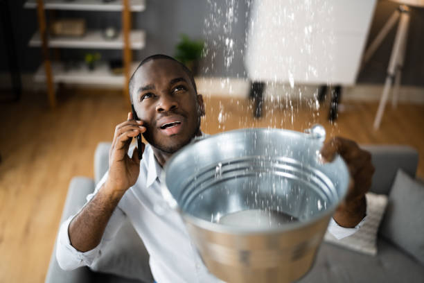 Best Water damage restoration company  in Arbutus, MD