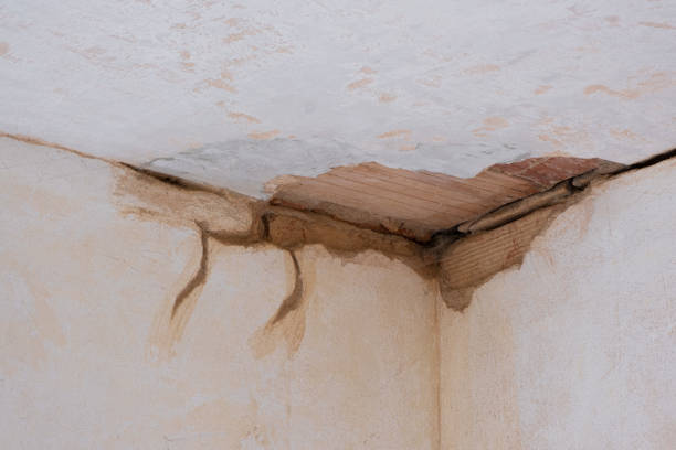 Best Fire Damage Restoration  in Arbutus, MD