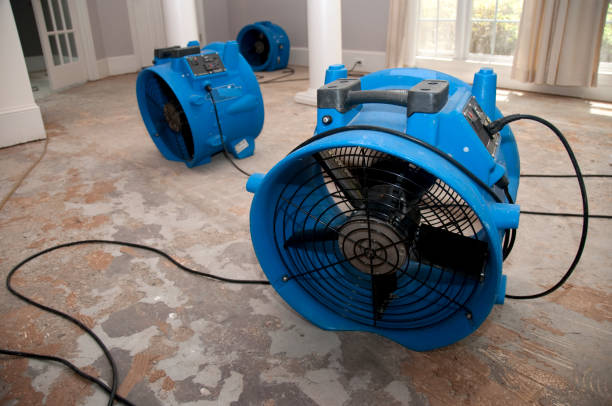 Best Water damage restoration near me  in Arbutus, MD