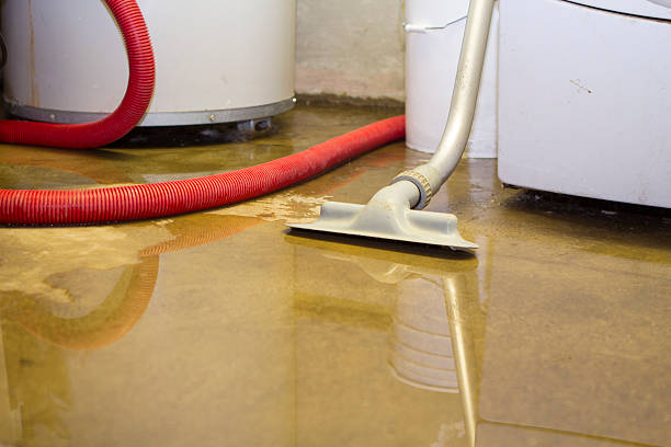 Best Carpet water damage restoration  in Arbutus, MD