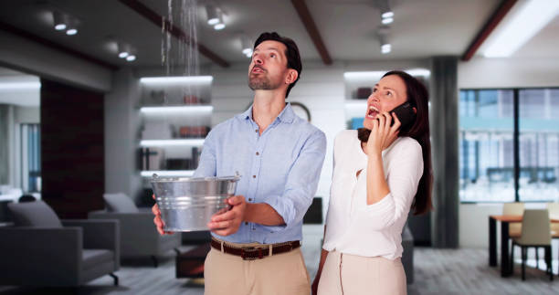 Best 24-hour water damage restoration  in Arbutus, MD