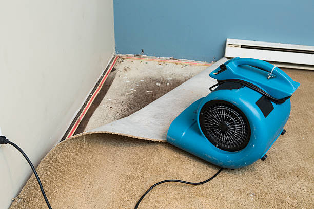 Best Water damage restoration specialists  in Arbutus, MD